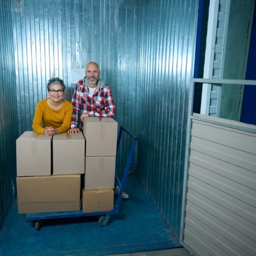 Guía sobre control de plagas en unidades de almacenamiento: evita daños y riesgos