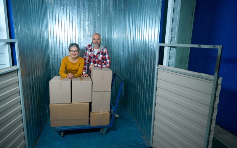 Guía sobre control de plagas en unidades de almacenamiento: evita daños y riesgos