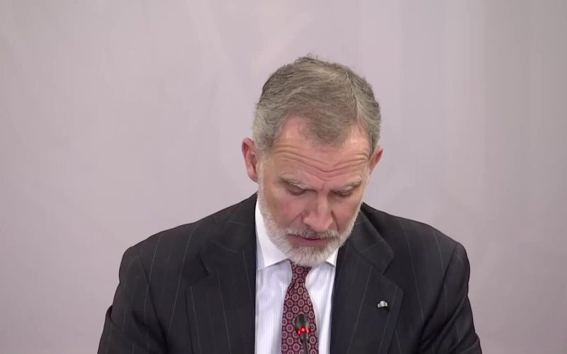 El Rey Felipe VI sobre la permanencia de las instituciones